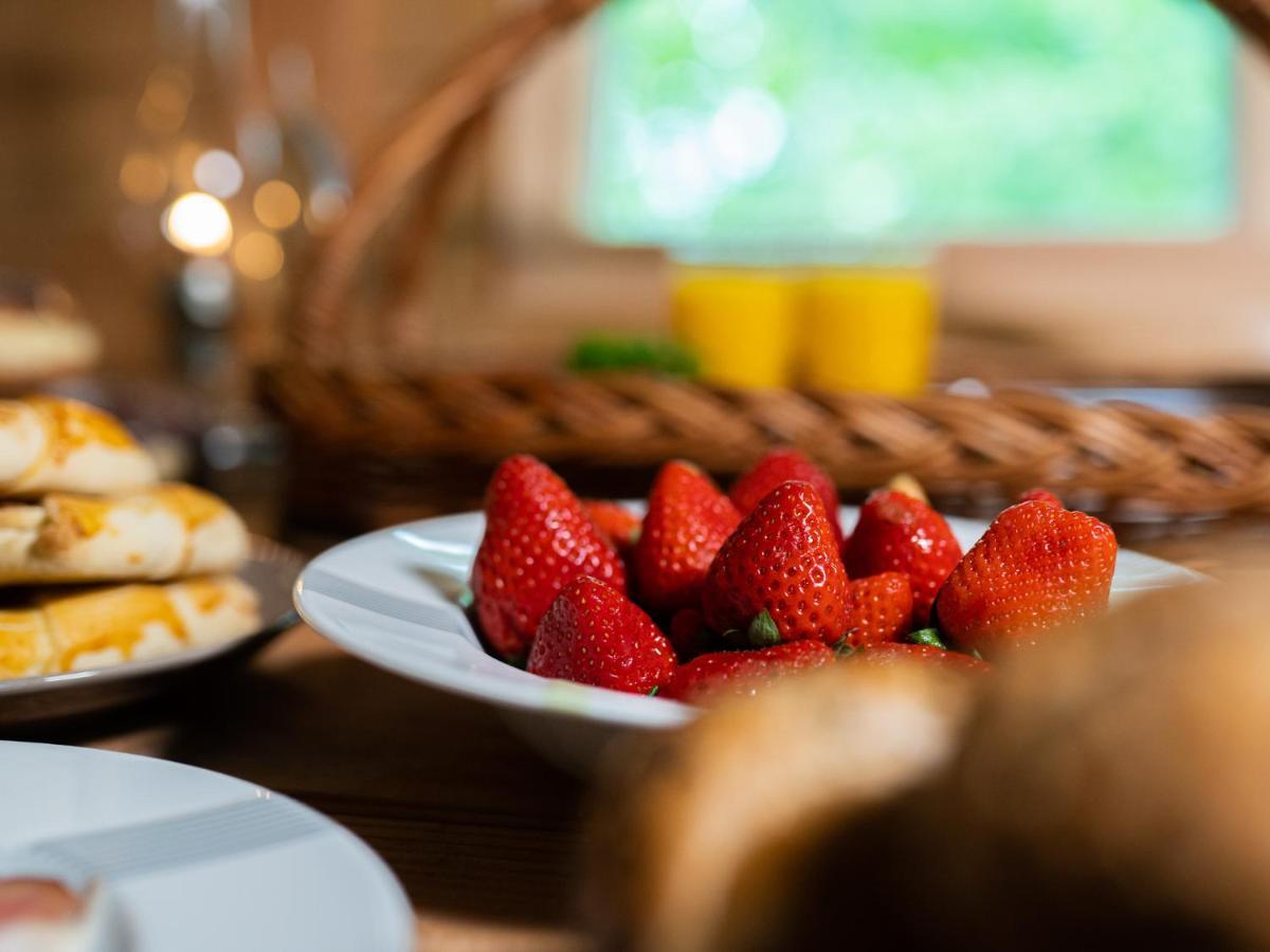 Treehous Sneznik S Wellness Hotel Dolní Morava Eksteriør billede