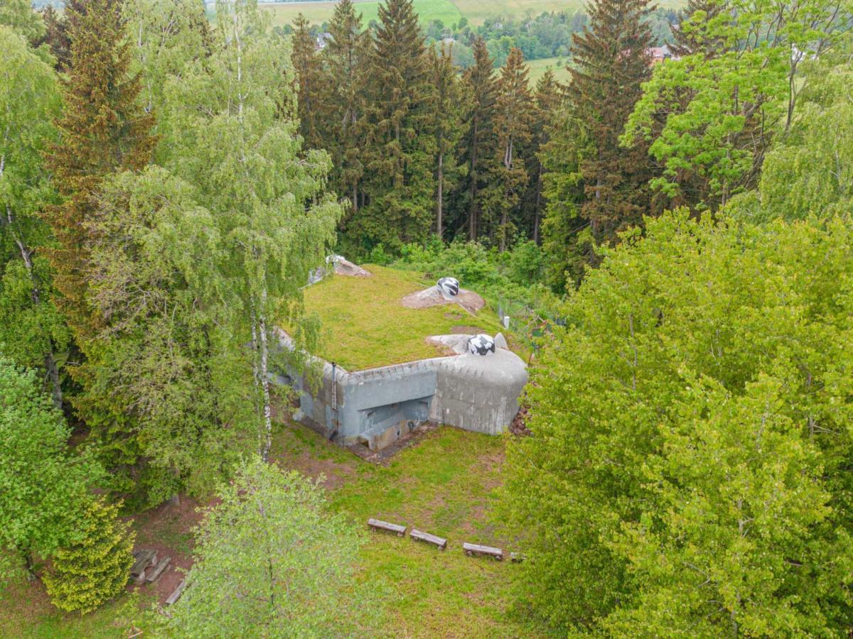Treehous Sneznik S Wellness Hotel Dolní Morava Eksteriør billede