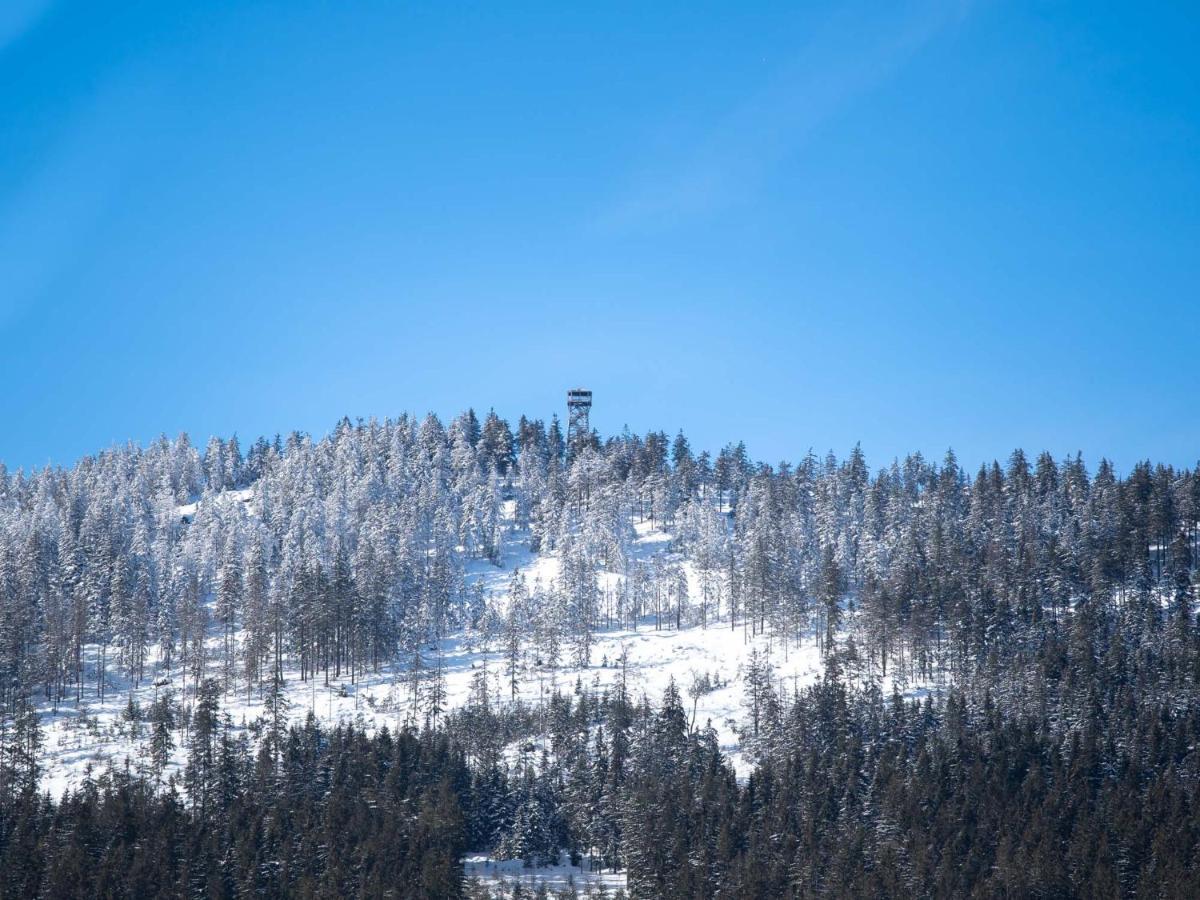 Treehous Sneznik S Wellness Hotel Dolní Morava Eksteriør billede
